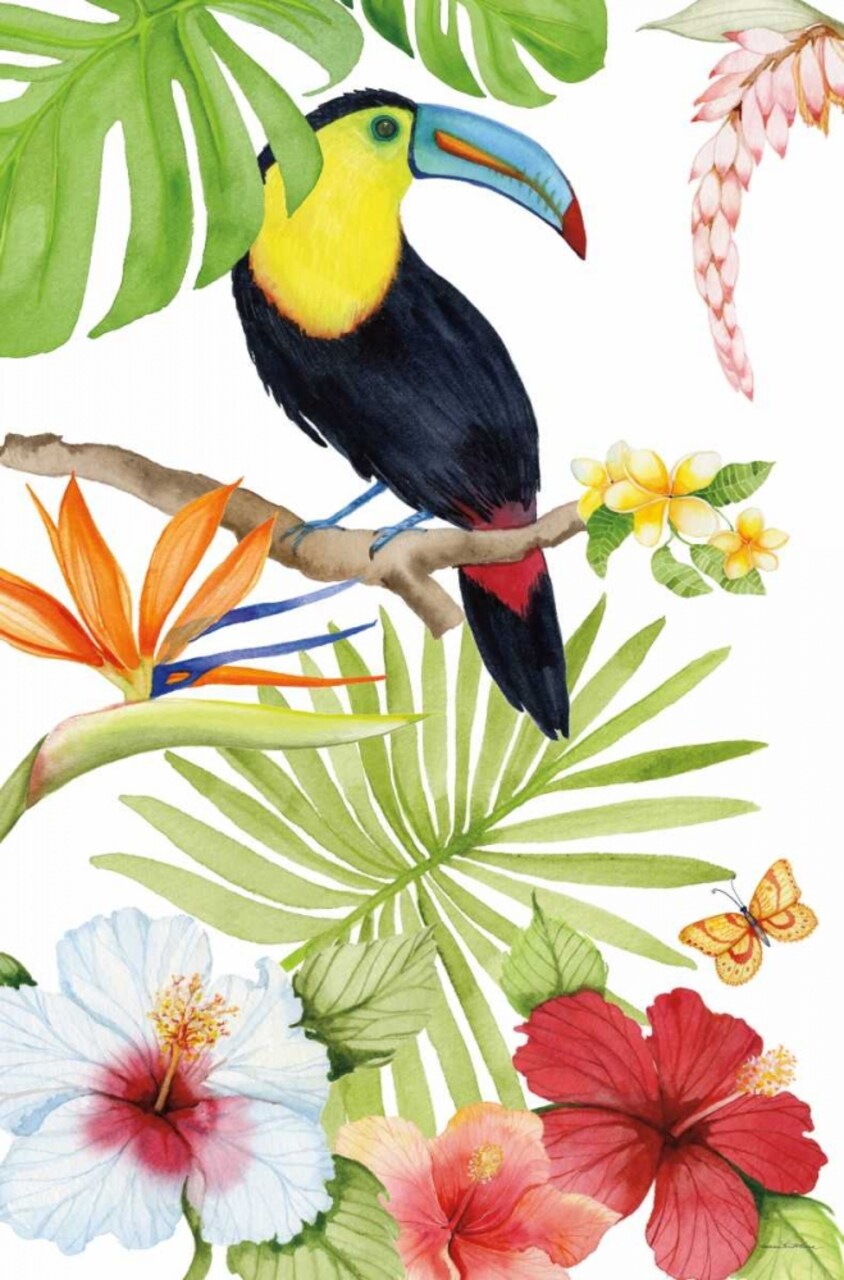 Treasures of the Tropics I Poster Print by Kathleen Parr McKenna - Item # VARPDX34244HR